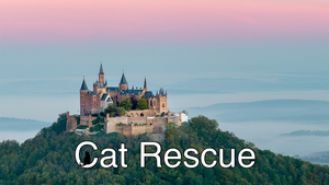 play Cat Rescue