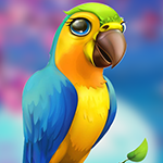 Little Parrot Escape game