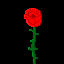play Black Rose