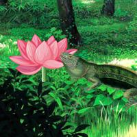 play G2R-Lizard Forest Escape Html5