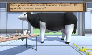 play Jeu Césarienne