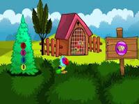 play Couple Parrot Escape 2