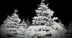 play Krampus