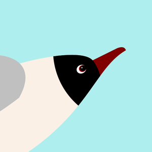 play Glidy Gull