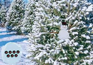 play Christmas Star Way Out Escape