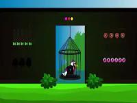 play Trapped Bird Rescue