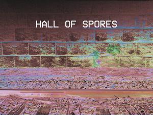 play Endless Ruin Chapter Ii: Hall Of Spores