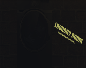 play Laundry Room