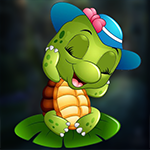 play Pg Cute Little Turtle Escape