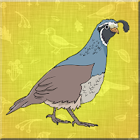 play G2J Elegant Quail Escape