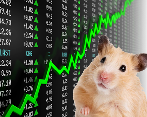 play Hamster Stocks