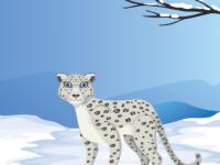 play Find Christmas Cap Of Snow Leopard