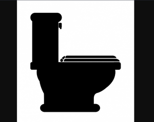 play Toilet Quest