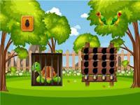 play G2M Rescue The Turtle Html5