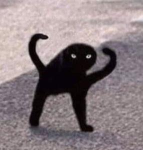 play Meow Game