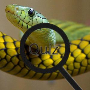play Wildlife Animal Trivia: Test Your Knowledge