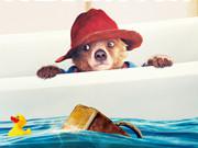 play Paddington