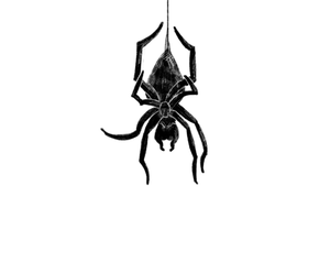 play Arachne