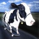 play Cow