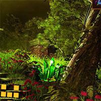 play 365-Little-Forest-Adventure