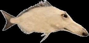 play Snootfish Booper