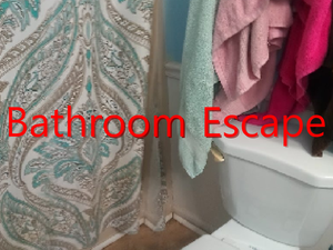 play Bathroom Escape