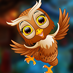 play Ecstatic Owl Escape