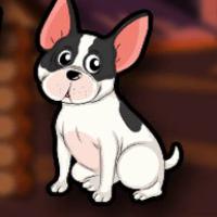 play G2J-Boston-Terrier-Escape-