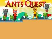 play Ants Quest