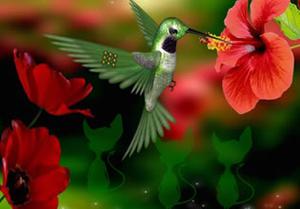 play Wonderful Humming Bird Land Escape