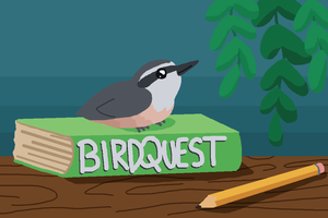play Birdquest: A Birdwatching Simulation Experience