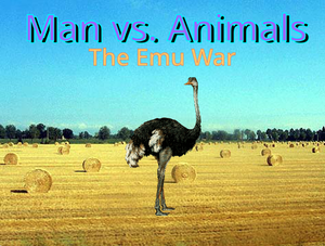 play Man Vs. Animals: The Emu War