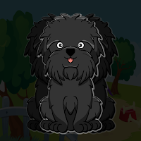 play G2J Affenpinscher Dog Escape