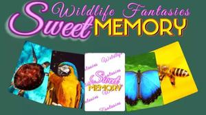 play Sweet Memory - Wildlife Fantasies