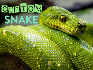 Custom Snake (2019)