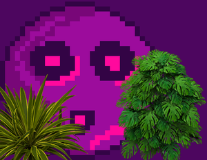 play Alzheimer2