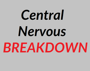 play Central Nervous Breakdown