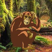 play Wow-Trapped Monkey Child Escape Html5