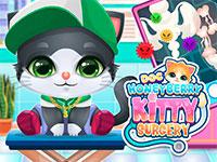 play Doc Honeyberry Kitty Surgery