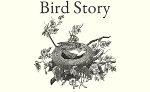 play Bird Story