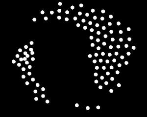 play Boid Project