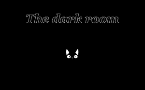 play The Dark Room