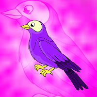 play G2J Purple Martin Escape