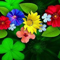 play Wow-Pretty Blossom Wallpaper Escape Html5