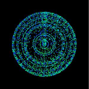 play Perception Pong V1