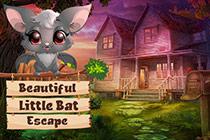 play Beautiful Little Bat Escape