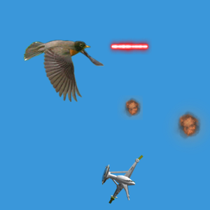 play Bird Defender 2D