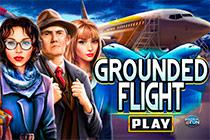 play Grounded Flight