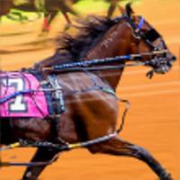 play Harness Racing