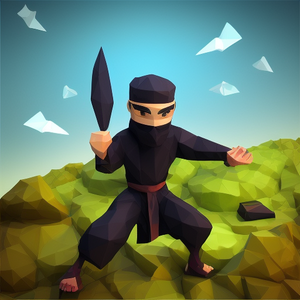 play Ninja Game